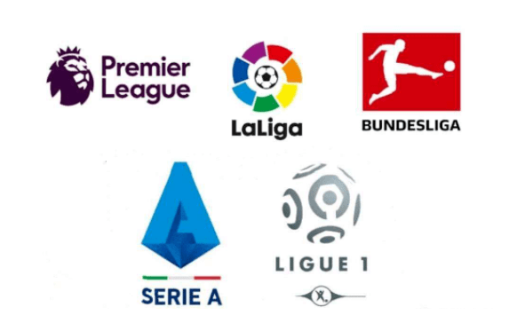 为他对彼此 为他对彼此